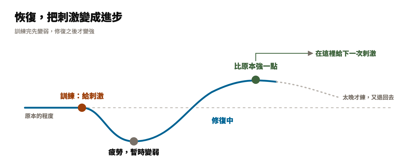 訓練後身體先疲勞變弱,修復之後比原本強一點,這時給下一次刺激,太晚才練又會退回去